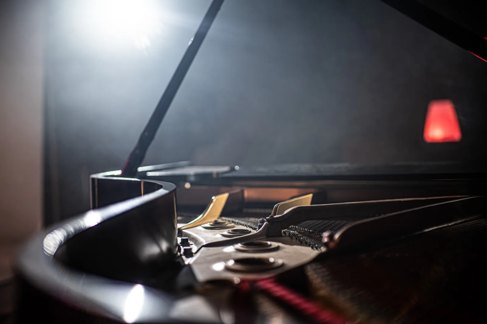 Steinway grand piano interior — strings and hammers under dramatic studio light